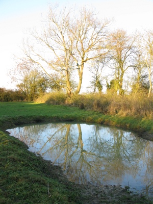 Picture of pond