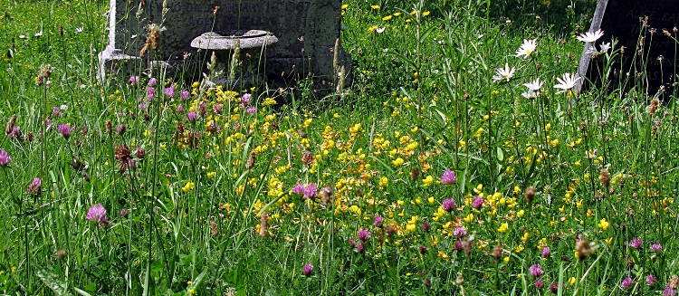 view of churchyard