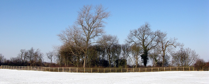 View in the snow