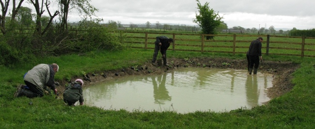 Picture of the Pond being Planted